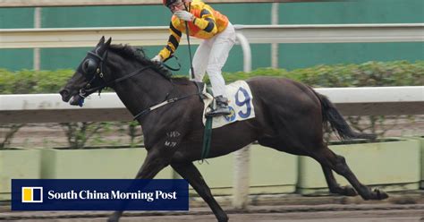 scmp racing tips|sai wing hong kong racing.
